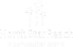 North Star Reach Logo